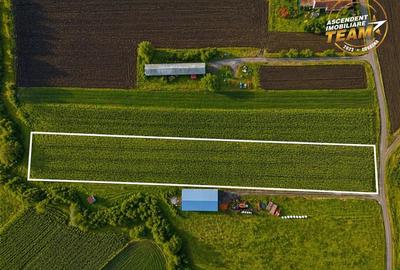 Film! Teren de 5.800 mp, Dobolii de Jos, Covasna - 4