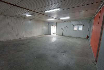 Spațiu industrial, 160 mp în Vest