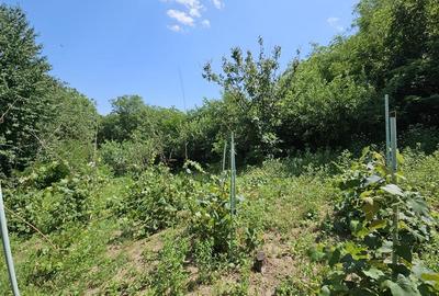 Casa spatioasa de vanzare in centrul satului Racaciuni – teren generos, livada, - 17