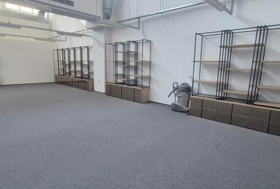Spatiu de birouri / comercial / show room Domenii - Parcul Copilului - 8
