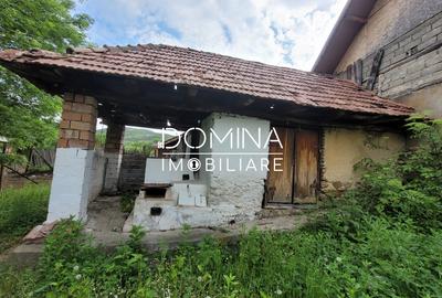 Vânzare casă tradițională, teren generos, sat Bîltișoara, comuna Runcu - 7