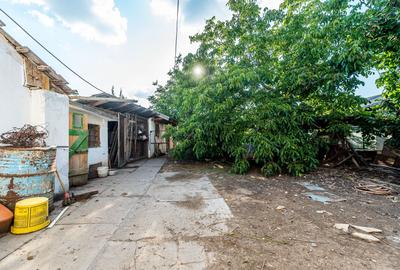 🏡 Casă nemțească autentică în Frumușeni – Fântânele, la 20 km de Arad - 12