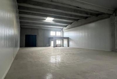 Spațiu industrial, în Sânandrei
