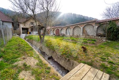 Casă cu farmec între munți - Refugiu ideal în Săliște - 11