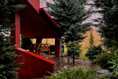 Baneasa, Sisesti, vanzare vila S+P+1E+M, renovata in 2014, 1576 mp teren, - 16