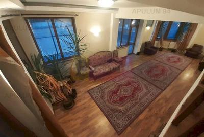 Vila Spatioasa Bucuresti Prelungirea Ghencea - 22
