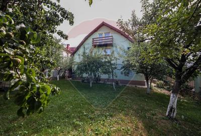 Casa si Spatiu comercial  în zona Centrala Secele - 9