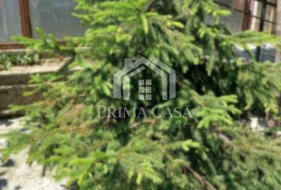 Apartament cu 3 camere zona Pod etaj 2 din 4 confort 1 cu imbunatatiri - 6