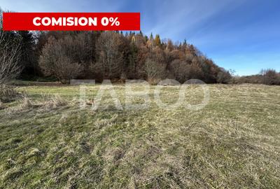 COMISION 0% Teren extravilan 1630 mp langa Rau pe Valea Sebesului - 1