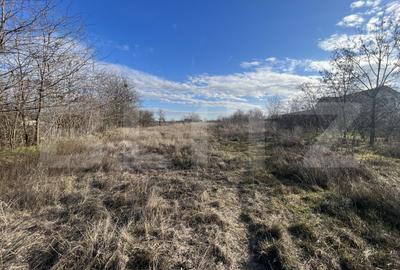 Teren Construcții intravilan de 1100 mp, în Coșoveni