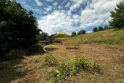 Teren extravilan 1870 mp-de vanzare 14€/mp Sohodol / Bacau - 1