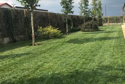 Locatie pentru Evenimente in Saftica - Gradina Lahovari - 8