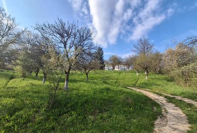 Moșia boierească din vârf de deal, Scorțeni - Prahova, comision 0% - 1