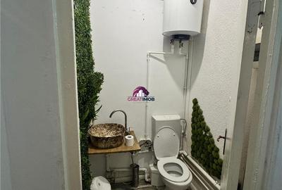 Inchiriere Spatiu Comercial Mosilor - 4