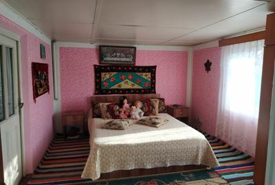 Casa de vanzare Albesti Vaslui - 7