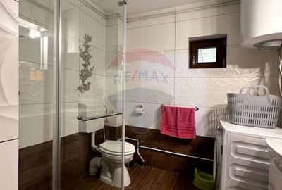 Casă de vacanță, de vânzare, pretabilă locuință sau afacere hotelieră - 11