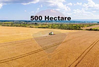 Teren 500 h plus 1000h arenda Vrancea - 1