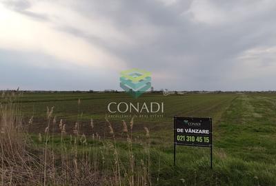 Teren Construcții intravilan de 19330 mp, în Tărtășești