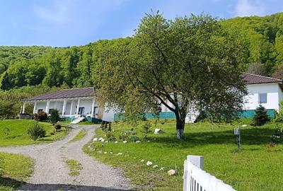 Proprietate speciala in Bran-Predelut cu 2 case, priveliște panoramica 180* - 1