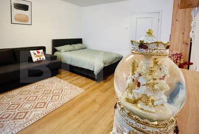 Garsonieră decomandată în Brazda lui Novac