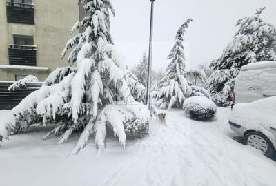 Apartament 3 camere Natura Residence I Baneasa Iancu Nicolae I COM 0% - 5