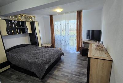 Casa si Spatiu Comercial Luncusoara Suceava De Vanzare - 8