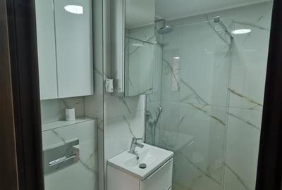 2 camere Mobilat si Utilat, etaj 2, Viziru 3 - Ciocarlia - 11