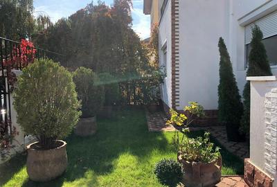 Vila individuala P+1+M   Iancu Nicolae   British Scool - 2