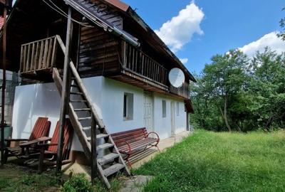 Balilesti - Stradal, casa spatioasa, 4600 mp teren intravilan - curte spatioasa - 5