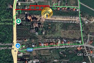 4 X Loturi Teren Intravilan in Saftica – Balotesti |  100m de DN1 - 5