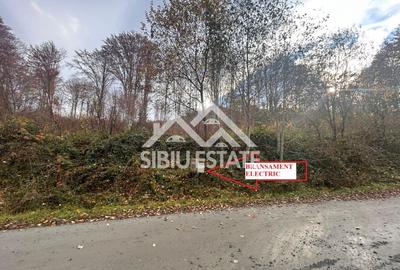 Oportunitate de investiție – Teren pentru hotel / pensiune pe Valea Avrigului - 2