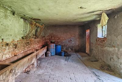 Casa 3 camere libera la vanzare TARLUNGENI - 22