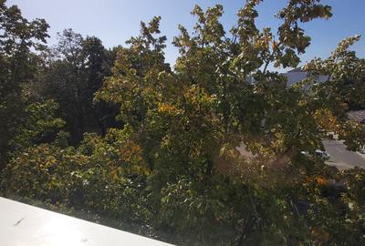 Apartament 2 camere de inchiriat, etajul 2, Focsani - 16