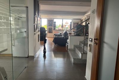 Kiseleff, proprietar vand penthouse cu vedere panoramica - 2