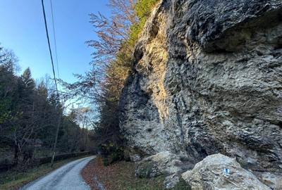 Teren 2.882 mp – oportunitate investitie - Cheile Dambovicioarei - 1