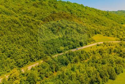 COMISION 0% Cumpărător | Teren intravilan 3.750 mp – DN1A Săcele | - 6