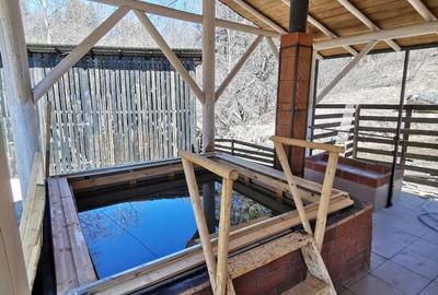 🌲 Cabana de Poveste | Molid – Vama - 22