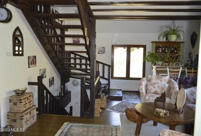 Topoloveni - Conacul Ion Mihalache, Domeniu pe 5 Hectare! - 25