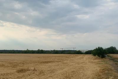 Teren Construcții intravilan de 30000 mp, în Ștefăneștii de Jos