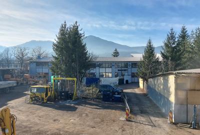 Hala industriala de inchiriat pe Calea Bucuresti folosinta multipla - 10
