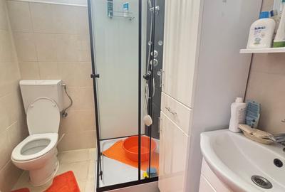 Vand casa in sag cu  gradina mare 277000 euro - 9
