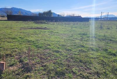Teren superb de 533mp construibil zona perfecta Brasov - 4