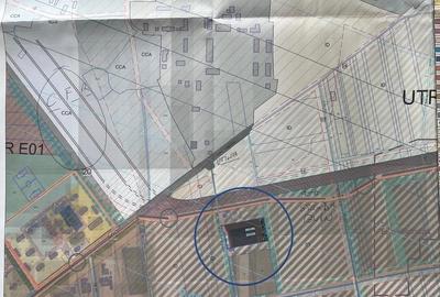 Teren Construcții intravilan de 11500 mp, în Ghiroda