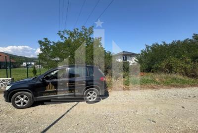 Teren intravilan | 800 mp | 22 ml deschidere | Alba-Micesti - 5