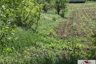 Teren intravilan de vanzare in Santimbru - 2