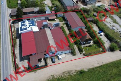 Hale industriale de vânzare în Valea Crișului! - 2