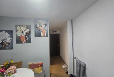 Apartament de 2 camere-Drumul Taberei/2-Room Apartment in Drumul Taberei - 4