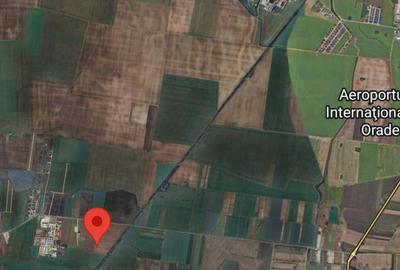 Teren extravilan 8600 mp Livada de Bihor - 1