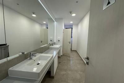 Inchiriere spatii de birouri in City Business Center - 440 mp - 16