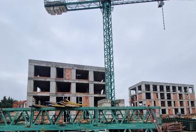 Apartament cu gradina-spatiul perfect pentru relaxare, in Timisoara - 8